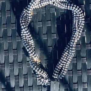 BCBG  brand new with tag necklace